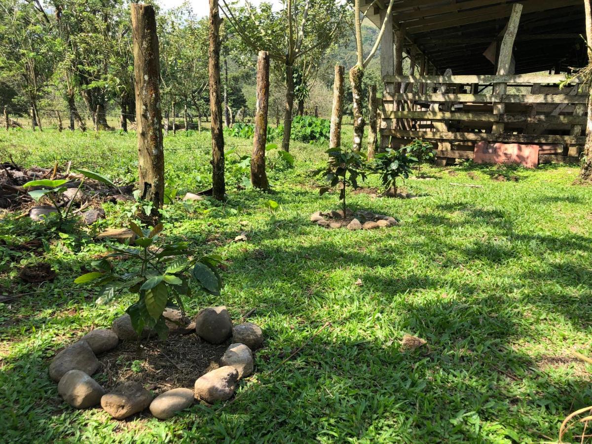 Casita El Jardin Villa Bijagua Bagian luar foto