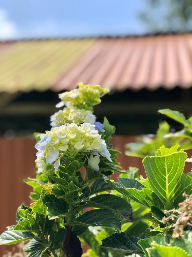 Casita El Jardin Villa Bijagua Bagian luar foto